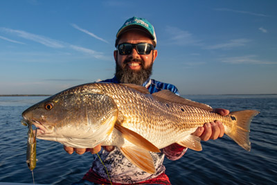 Sight-fishing redfish on lures