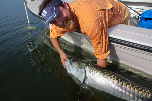 tarpon fishing trips