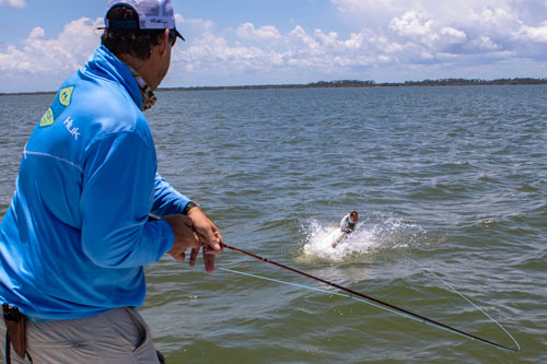 central florida tarpon guide