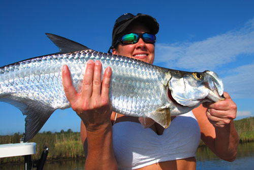 mosquito lagoon tarpon guide