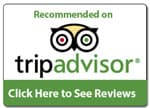 Tripadvisor logo