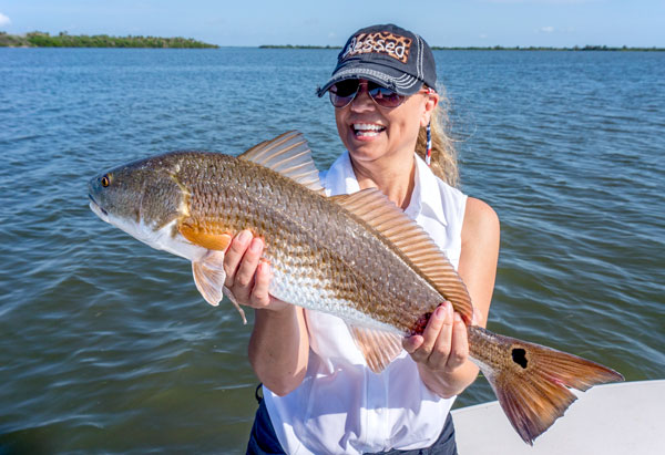 year round redfish charters